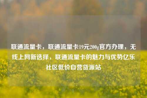 联通流量卡	，联通流量卡19元200g官方办理，无线上网新选择，联通流量卡的魅力与优势亿乐社区低价自营货源站  第1张