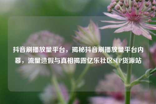 抖音刷播放量平台	，揭秘抖音刷播放量平台内幕，流量造假与真相揭露亿乐社区SUP货源站  第1张
