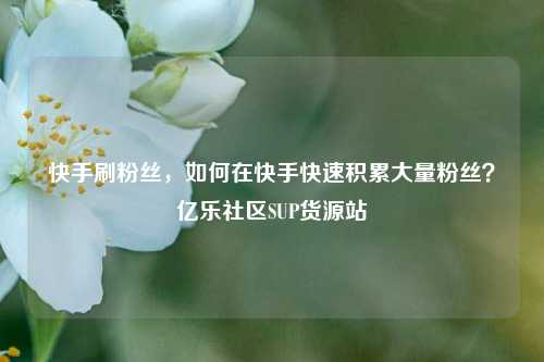 快手刷粉丝	，如何在快手快速积累大量粉丝？亿乐社区SUP货源站  第1张