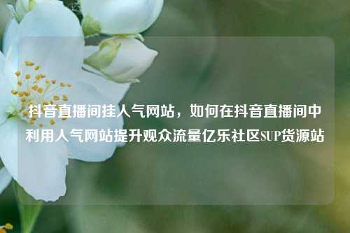 抖音直播间挂人气网站，如何在抖音直播间中利用人气网站提升观众流量亿乐社区SUP货源站  第1张