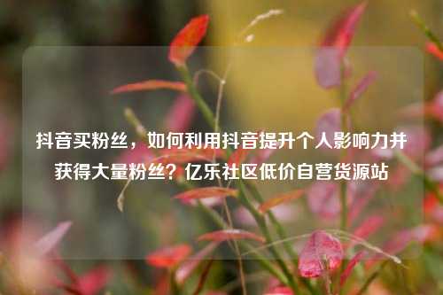 抖音买粉丝，如何利用抖音提升个人影响力并获得大量粉丝？亿乐社区低价自营货源站  第1张
