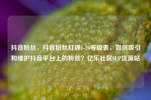 抖音粉丝，抖音粉丝灯牌1-20等级表，如何吸引和维护抖音平台上的粉丝？亿乐社区SUP货源站  第1张