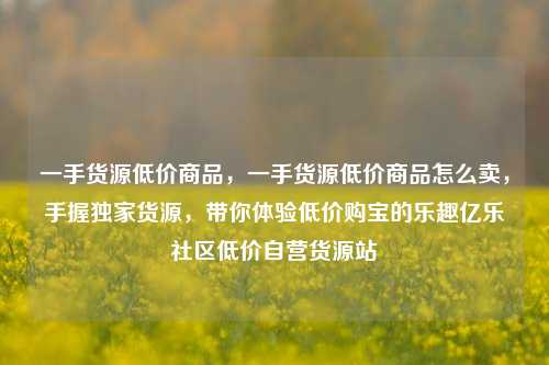 一手货源低价商品	，一手货源低价商品怎么卖，手握独家货源，带你体验低价购宝的乐趣亿乐社区低价自营货源站  第1张