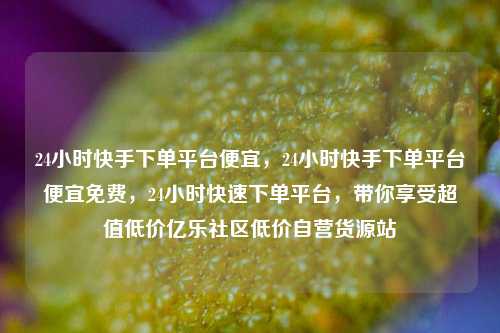24小时快手下单平台便宜，24小时快手下单平台便宜免费，24小时快速下单平台	，带你享受超值低价亿乐社区低价自营货源站  第1张