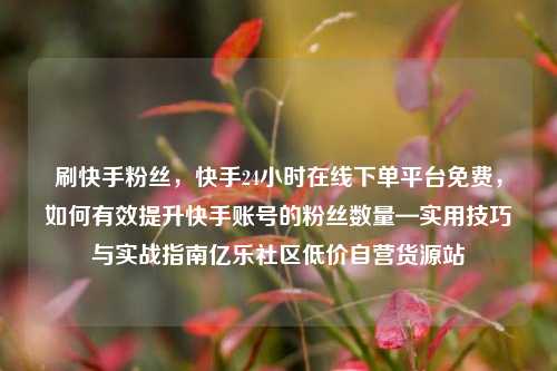 刷快手粉丝，快手24小时在线下单平台免费	，如何有效提升快手账号的粉丝数量—实用技巧与实战指南亿乐社区低价自营货源站  第1张