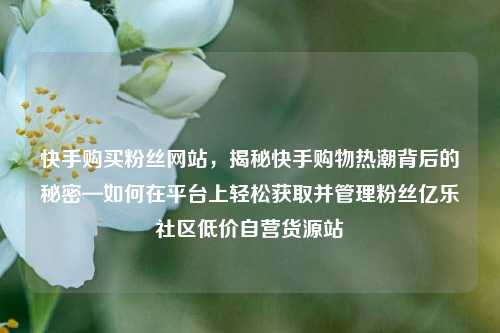 快手购买粉丝网站，揭秘快手购物热潮背后的秘密—如何在平台上轻松获取并管理粉丝亿乐社区低价自营货源站  第1张