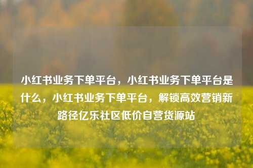 小红书业务下单平台，小红书业务下单平台是什么	，小红书业务下单平台，解锁高效营销新路径亿乐社区低价自营货源站  第1张