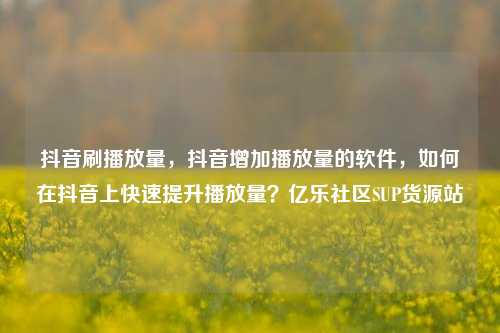 抖音刷播放量，抖音增加播放量的软件	，如何在抖音上快速提升播放量？亿乐社区SUP货源站  第1张