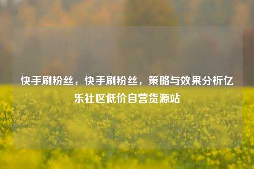 快手刷粉丝，快手刷粉丝	，策略与效果分析亿乐社区低价自营货源站  第1张