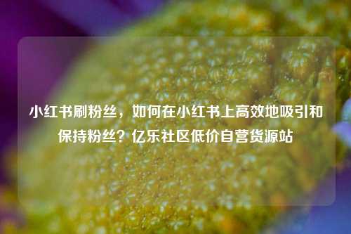 小红书刷粉丝，如何在小红书上高效地吸引和保持粉丝？亿乐社区低价自营货源站  第1张