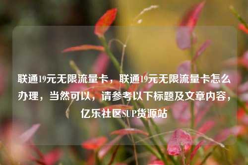 联通19元无限流量卡	，联通19元无限流量卡怎么办理，当然可以，请参考以下标题及文章内容，亿乐社区SUP货源站  第1张