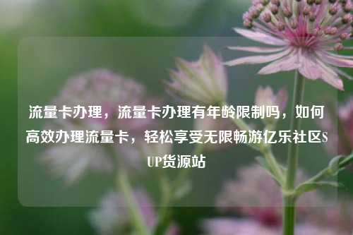 流量卡办理	，流量卡办理有年龄限制吗，如何高效办理流量卡，轻松享受无限畅游亿乐社区SUP货源站  第1张