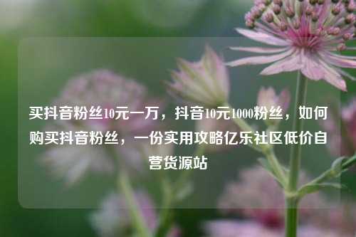买抖音粉丝10元一万，抖音10元1000粉丝，如何购买抖音粉丝	，一份实用攻略亿乐社区低价自营货源站  第1张
