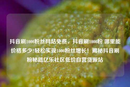 抖音刷1000粉丝网站免费，抖音刷1000粉 哪里能价格多少?轻松实现1000粉丝增长！揭秘抖音刷粉秘籍亿乐社区低价自营货源站  第1张