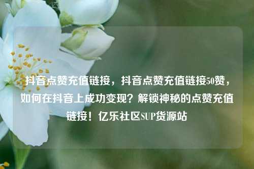 抖音点赞充值链接，抖音点赞充值链接50赞，如何在抖音上成功变现？解锁神秘的点赞充值链接！亿乐社区SUP货源站  第1张