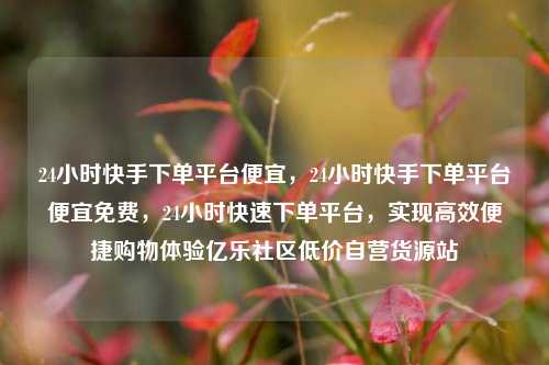 24小时快手下单平台便宜	，24小时快手下单平台便宜免费，24小时快速下单平台，实现高效便捷购物体验亿乐社区低价自营货源站  第1张