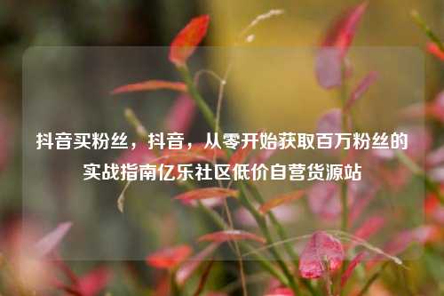 抖音买粉丝	，抖音，从零开始获取百万粉丝的实战指南亿乐社区低价自营货源站  第1张