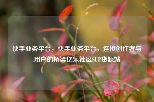 快手业务平台	，快手业务平台，连接创作者与用户的桥梁亿乐社区SUP货源站  第1张