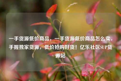 一手货源低价商品	，一手货源低价商品怎么卖，手握独家货源，低价抢购好货！亿乐社区SUP货源站  第1张