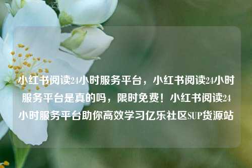小红书阅读24小时服务平台，小红书阅读24小时服务平台是真的吗，限时免费！小红书阅读24小时服务平台助你高效学习亿乐社区SUP货源站  第1张
