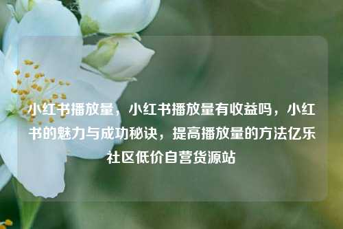 小红书播放量	，小红书播放量有收益吗，小红书的魅力与成功秘诀，提高播放量的方法亿乐社区低价自营货源站  第1张