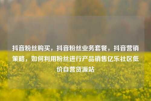 抖音粉丝购买，抖音粉丝业务套餐	，抖音营销策略，如何利用粉丝进行产品销售亿乐社区低价自营货源站  第1张