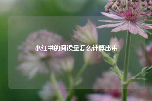 小红书的阅读量怎么计算出来  第1张