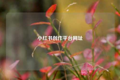 小红书创作平台网址  第1张