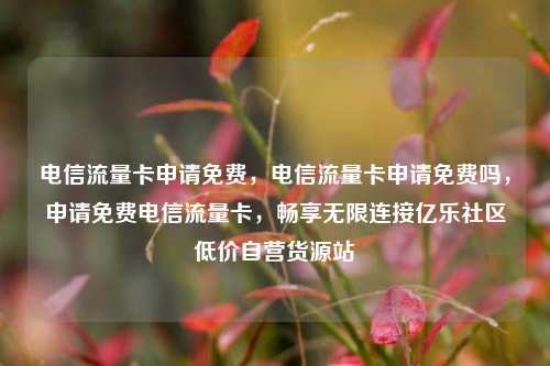 电信流量卡申请免费，电信流量卡申请免费吗	，申请免费电信流量卡，畅享无限连接亿乐社区低价自营货源站  第1张