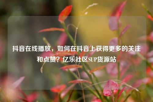 抖音在线播放	，如何在抖音上获得更多的关注和点赞？亿乐社区SUP货源站  第1张