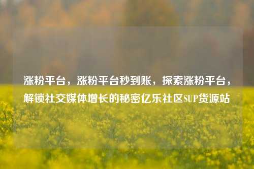 涨粉平台，涨粉平台秒到账	，探索涨粉平台，解锁社交媒体增长的秘密亿乐社区SUP货源站  第1张