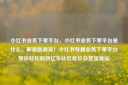小红书业务下单平台	，小红书业务下单平台是什么，解锁新潮流！小红书专属业务下单平台带你轻松购物亿乐社区低价自营货源站  第1张