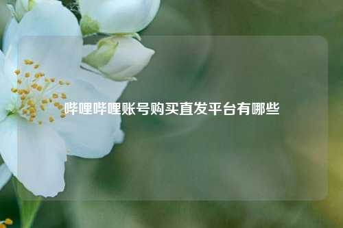 哔哩哔哩账号购买直发平台有哪些  第1张