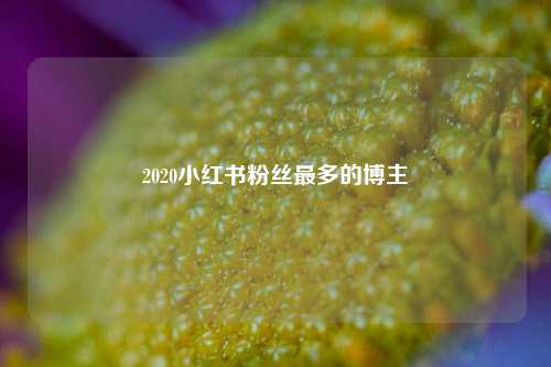 2020小红书粉丝最多的博主  第1张