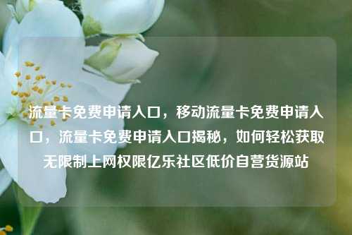 流量卡免费申请入口，移动流量卡免费申请入口，流量卡免费申请入口揭秘	，如何轻松获取无限制上网权限亿乐社区低价自营货源站  第1张