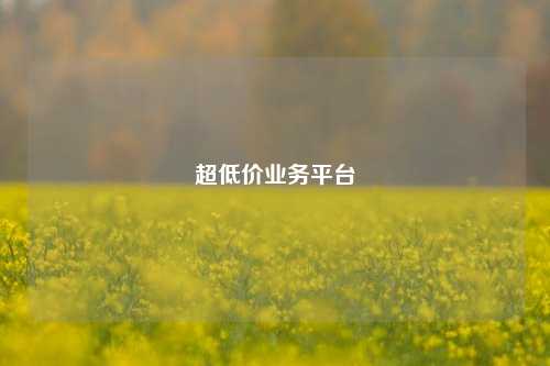 超低价业务平台  第1张