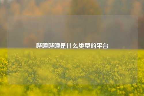 哔哩哔哩是什么类型的平台  第1张