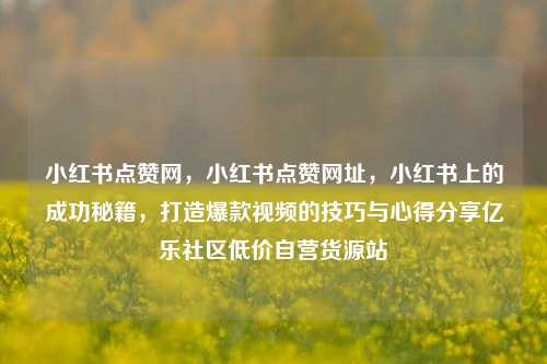 小红书点赞网，小红书点赞网址，小红书上的成功秘籍，打造爆款视频的技巧与心得分享亿乐社区低价自营货源站  第1张