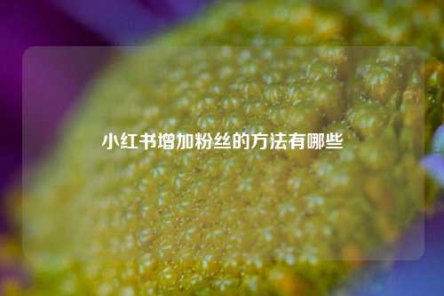 小红书增加粉丝的方法有哪些  第1张
