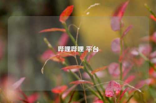 哔哩哔哩 平台  第1张
