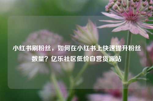 小红书刷粉丝	，如何在小红书上快速提升粉丝数量？亿乐社区低价自营货源站  第1张