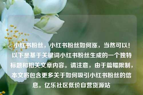 小红书粉丝，小红书粉丝如何涨，当然可以！以下是基于关键词小红书粉丝生成的一个独特标题和相关文章内容	。请注意	，由于篇幅限制，本文将包含更多关于如何吸引小红书粉丝的信息。亿乐社区低价自营货源站  第1张