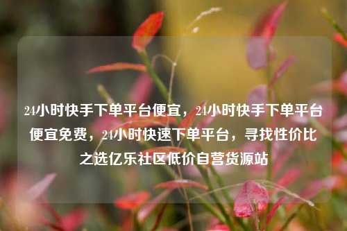 24小时快手下单平台便宜，24小时快手下单平台便宜免费，24小时快速下单平台	，寻找性价比之选亿乐社区低价自营货源站  第1张