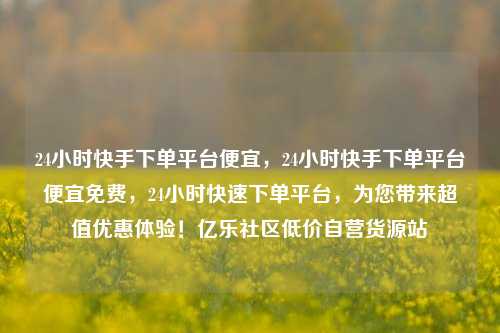 24小时快手下单平台便宜，24小时快手下单平台便宜免费，24小时快速下单平台	，为您带来超值优惠体验！亿乐社区低价自营货源站  第1张