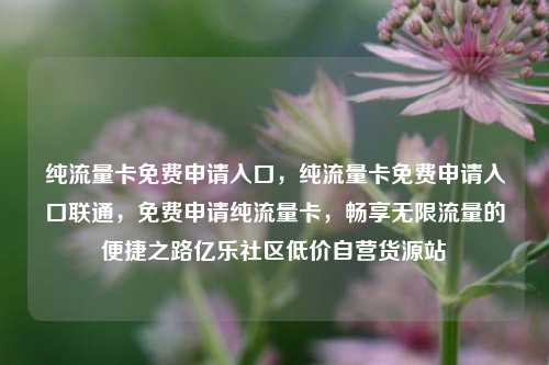 纯流量卡免费申请入口，纯流量卡免费申请入口联通，免费申请纯流量卡	，畅享无限流量的便捷之路亿乐社区低价自营货源站  第1张