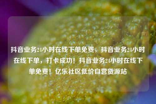 抖音业务24小时在线下单免费，抖音业务24小时在线下单，打卡成功！抖音业务24小时在线下单免费！亿乐社区低价自营货源站  第1张