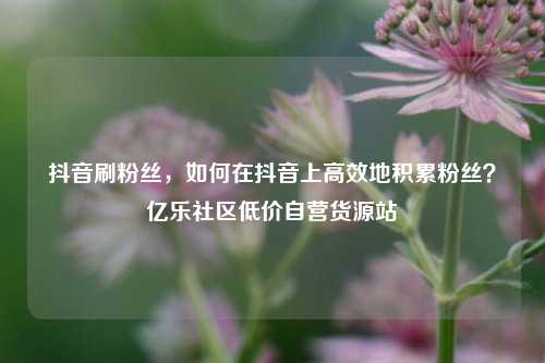 抖音刷粉丝，如何在抖音上高效地积累粉丝？亿乐社区低价自营货源站  第1张