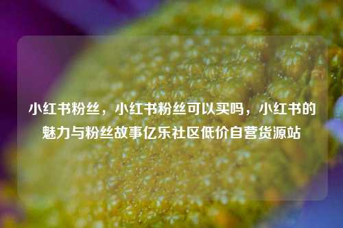 小红书粉丝，小红书粉丝可以买吗，小红书的魅力与粉丝故事亿乐社区低价自营货源站  第1张