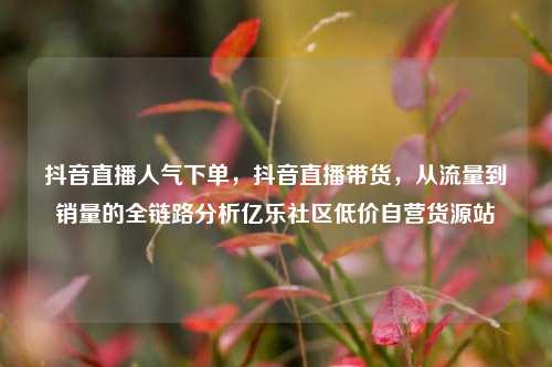 抖音直播人气下单	，抖音直播带货，从流量到销量的全链路分析亿乐社区低价自营货源站  第1张