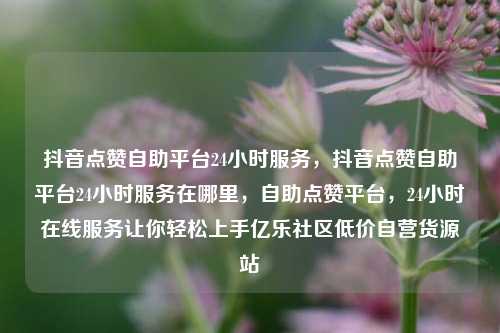 抖音点赞自助平台24小时服务，抖音点赞自助平台24小时服务在哪里	，自助点赞平台，24小时在线服务让你轻松上手亿乐社区低价自营货源站  第1张